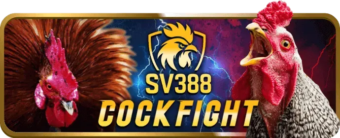 Ưu đãi VIP thể thao 88k Win