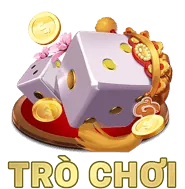 Hạn chế mục đích